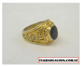 Anillo de oro: TSU Turismo